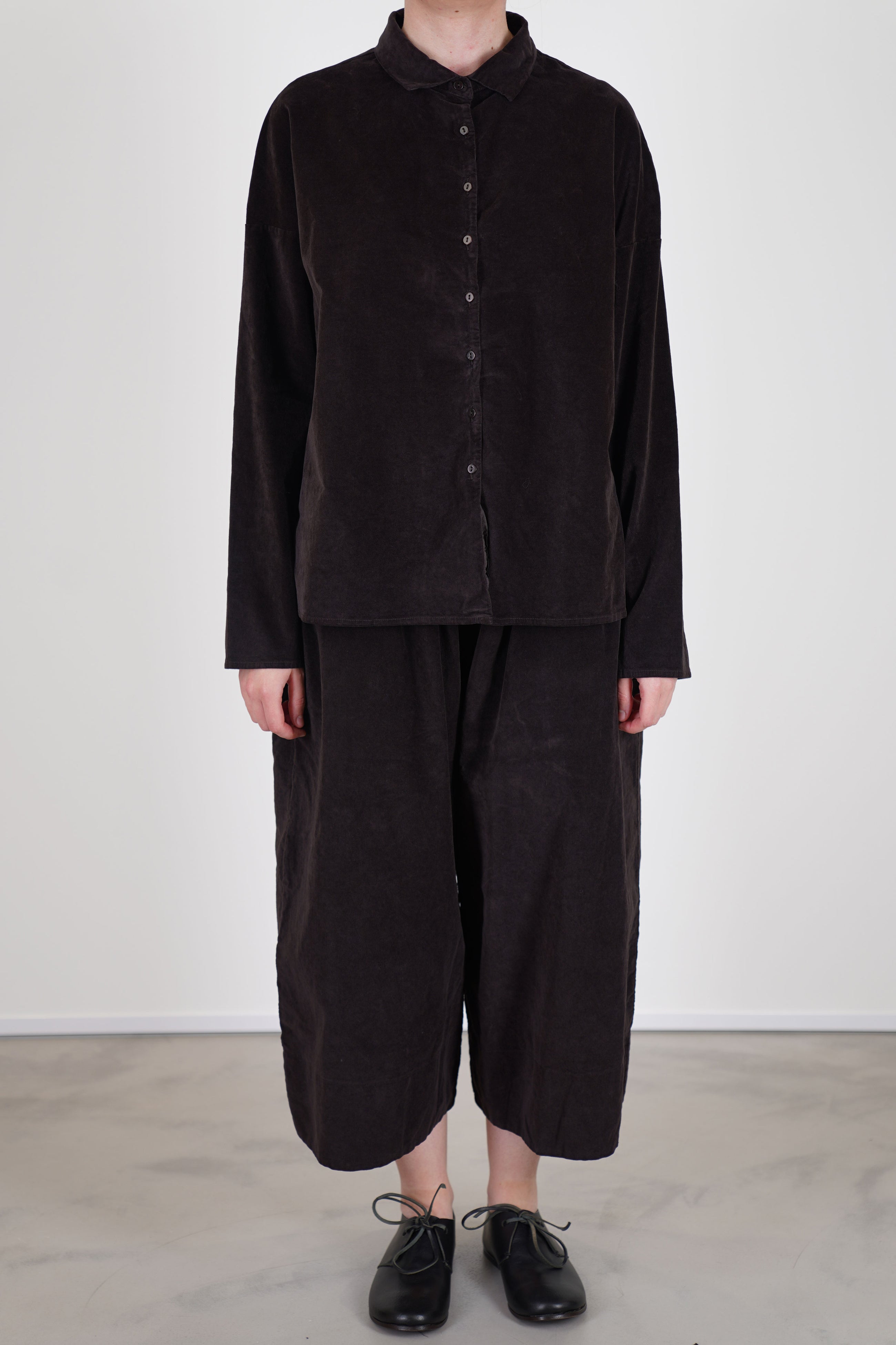 short collar shirt velvet chocolate