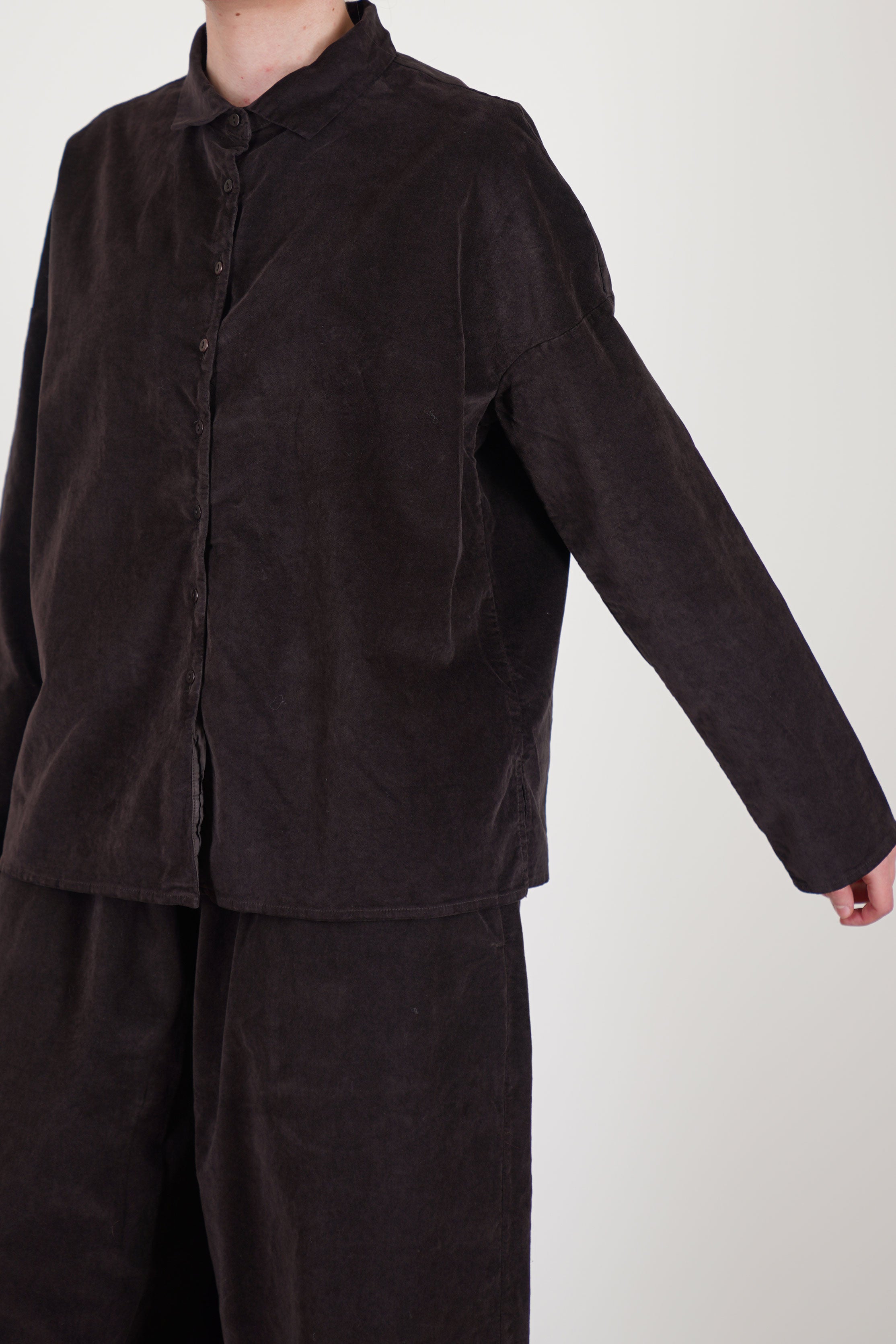 short collar shirt velvet chocolate