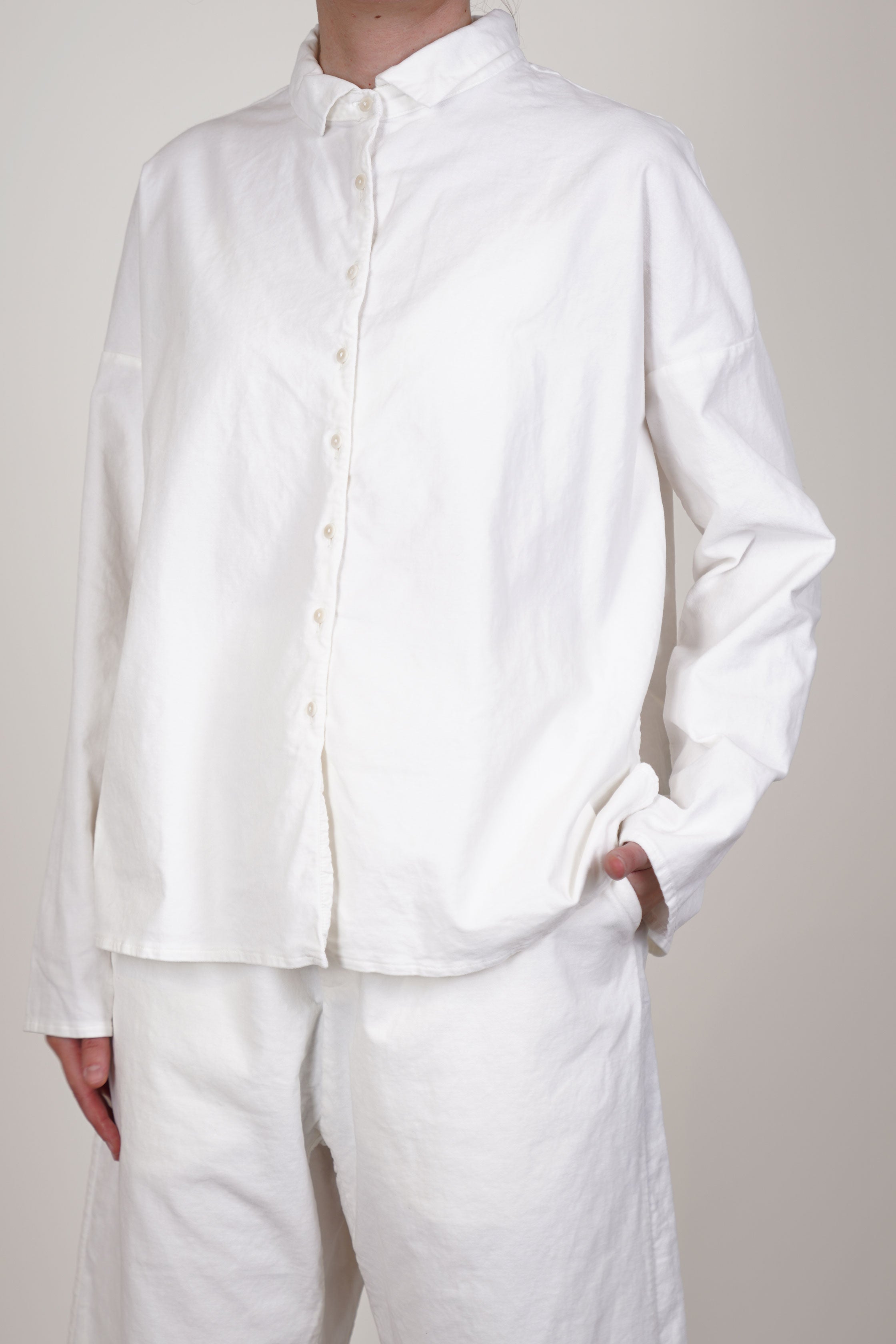 short collar shirt velvet milk