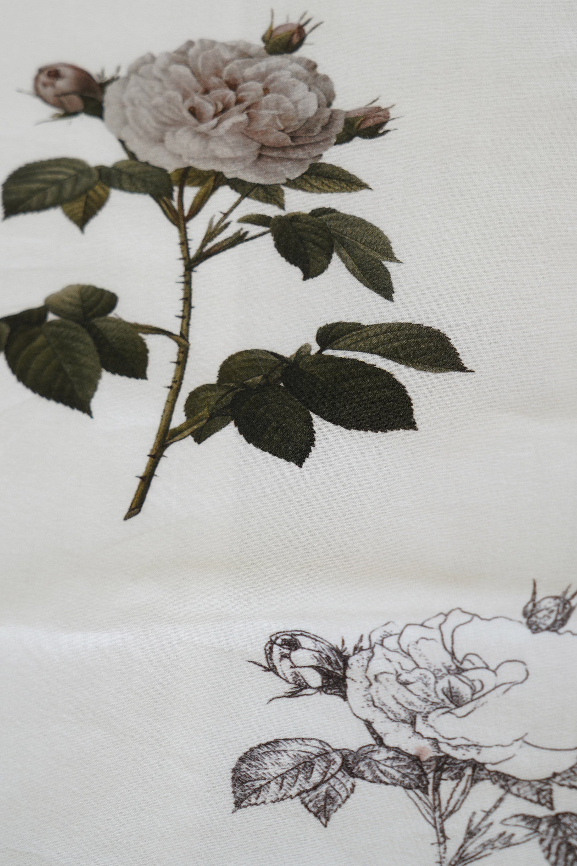 cropped pants pauline white x rose