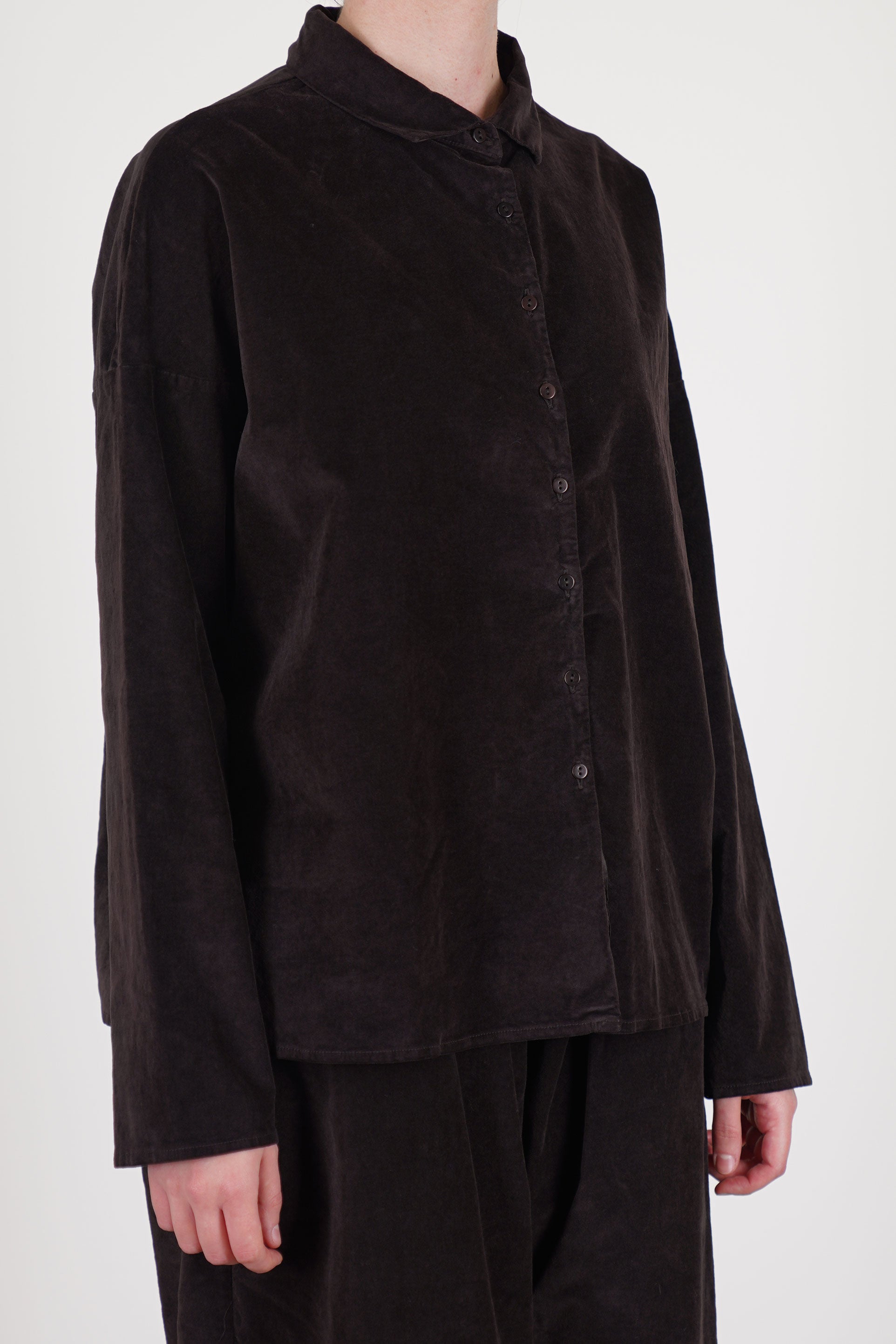short collar shirt velvet chocolate