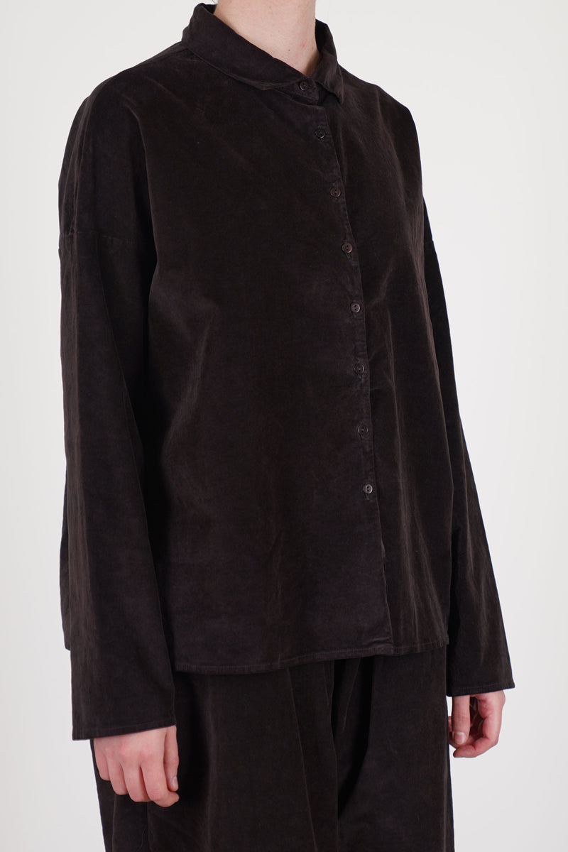 short collar shirt velvet chocolate