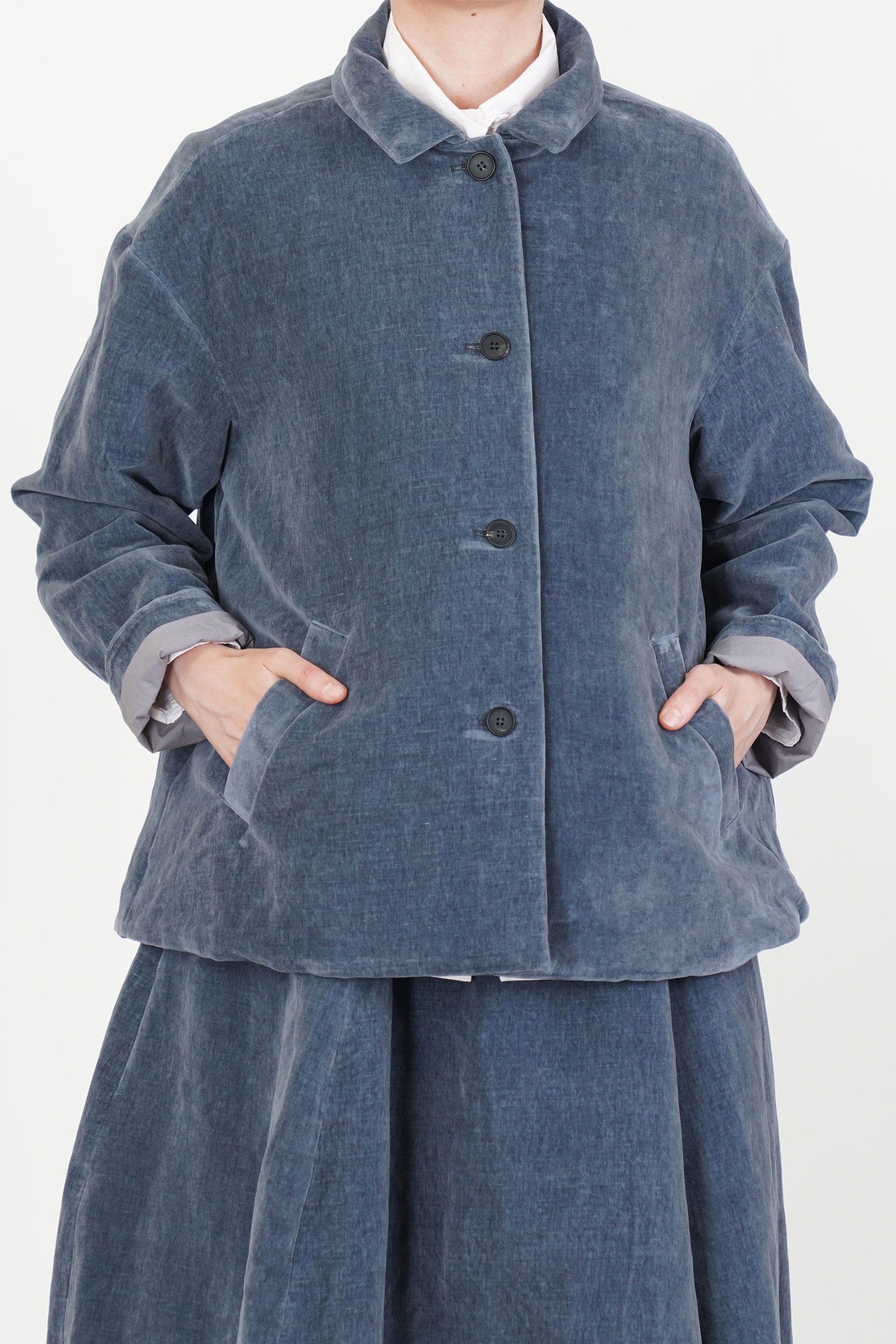 velvet uli jacket blue moon