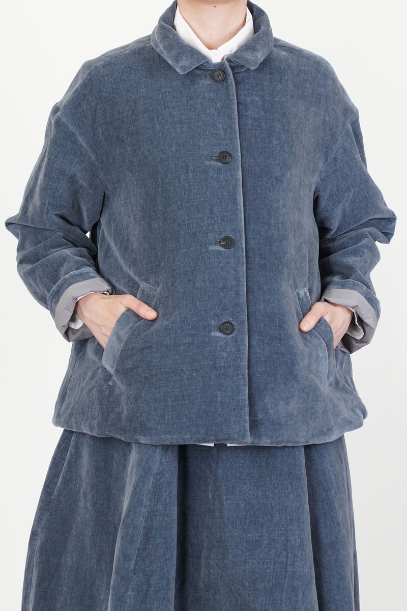 velvet uli jacket blue moon