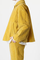 drays jacket velvet gold