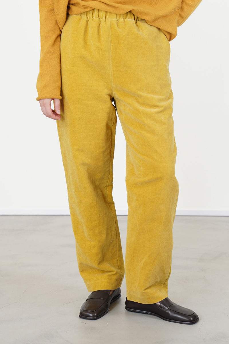 long chasse pant velvet gold