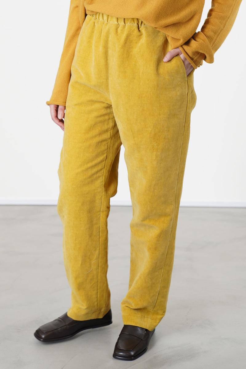 long chasse pant velvet gold