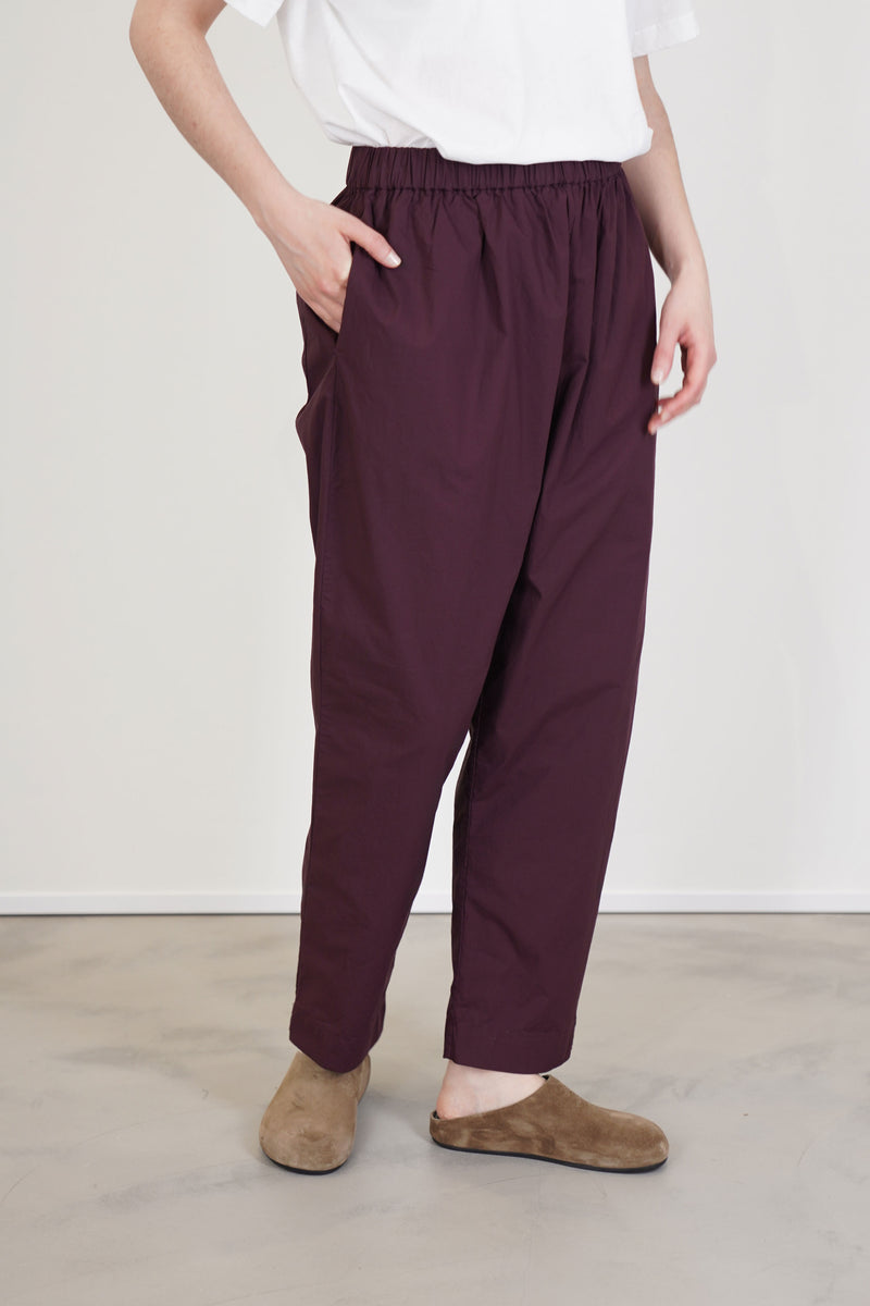 simple pant h cotton auburn