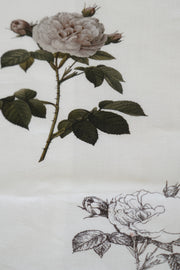 cropped pants pauline white x rose