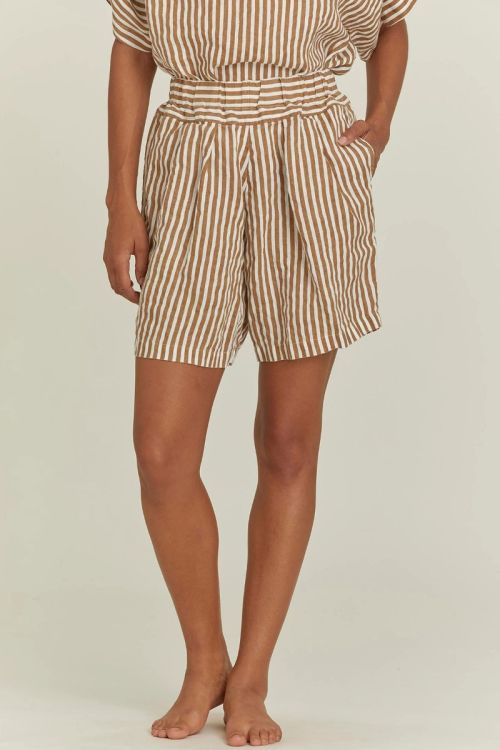 Carpenter Shorts Linen Thin Stripe by Black Crane