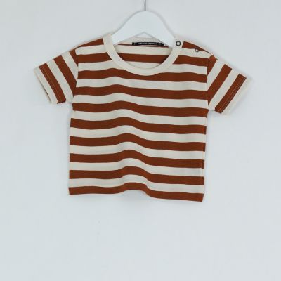 Baby T-Shirt Pietro Riga Dune Striped by Album di Famiglia