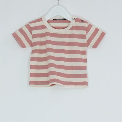Baby T-Shirt Pietro Riga Pink Striped by Album di Famiglia