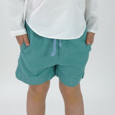 Unisex Shorts Snake Sky Green Stripes by MAAN